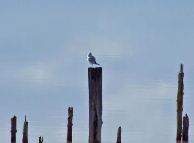 Прикрепленное изображение: bDSCF5959.jpg